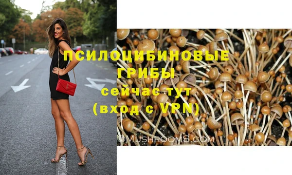 эйфоретик Алексеевка