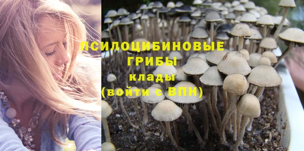 эйфоретик Алексеевка
