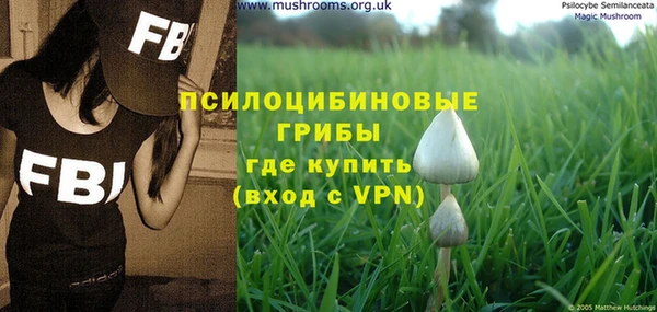 a pvp Алексин